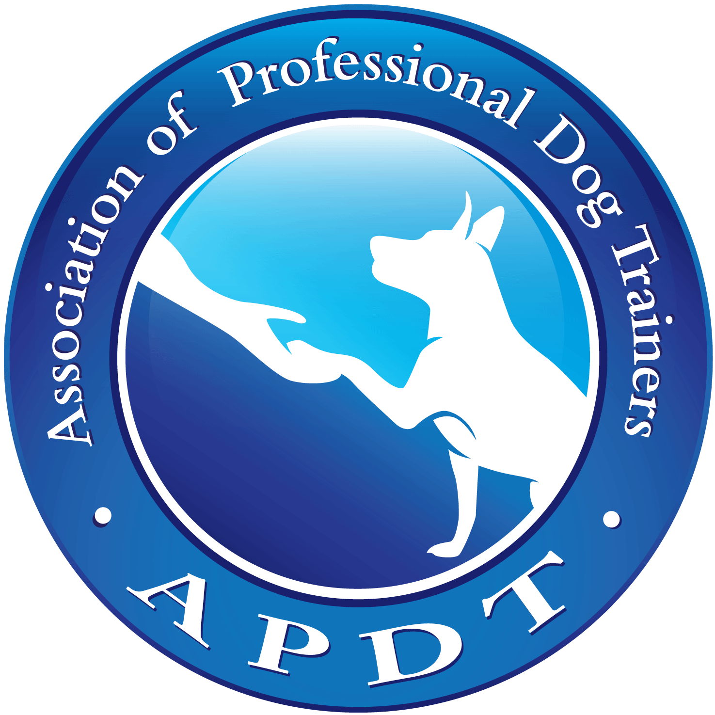 upcoming dog classes